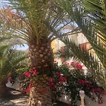 Paradise Amaya * コスタ・デ・アンティグア
