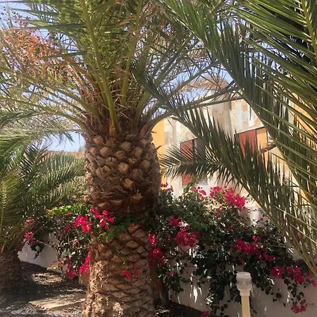 Paradise Amaya * קוסטה דה אנטיגואה