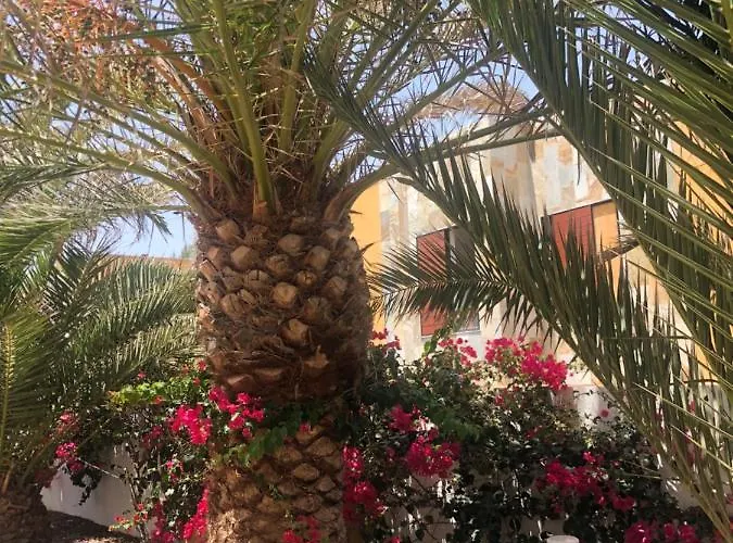 Paradise Amaya * Коста-де-Антигуа