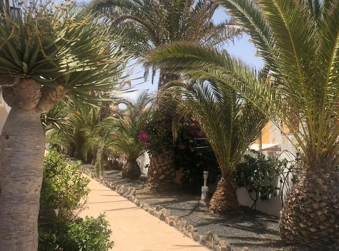 Апартаменты Paradise Amaya